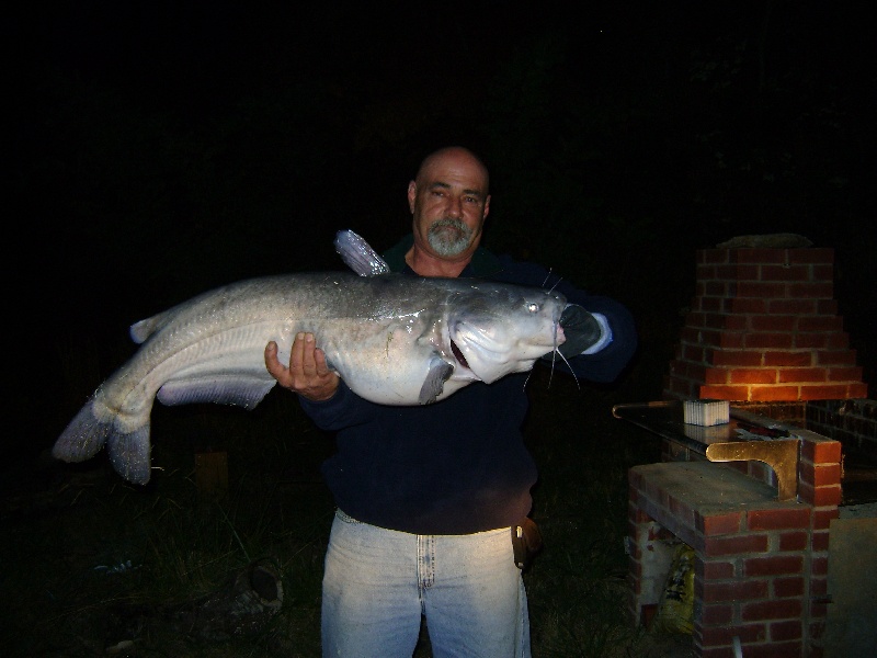 Tennessee River Blue Cat