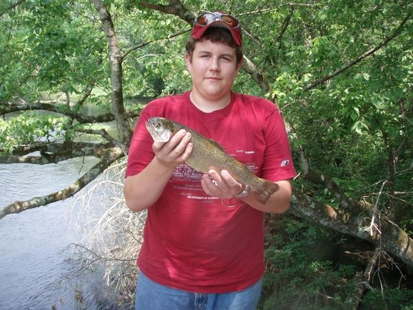 Big Rainbow Trout from Tennessee