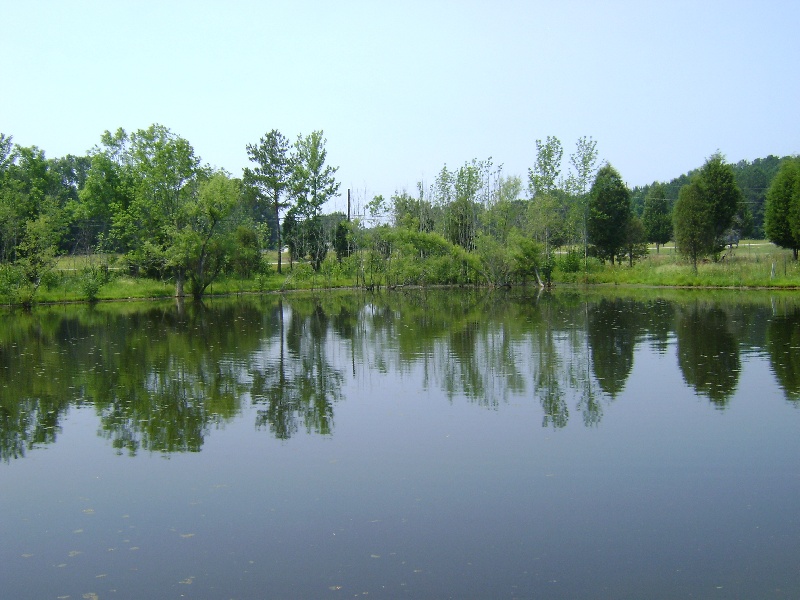 Crowder's Pond near Susan Moore